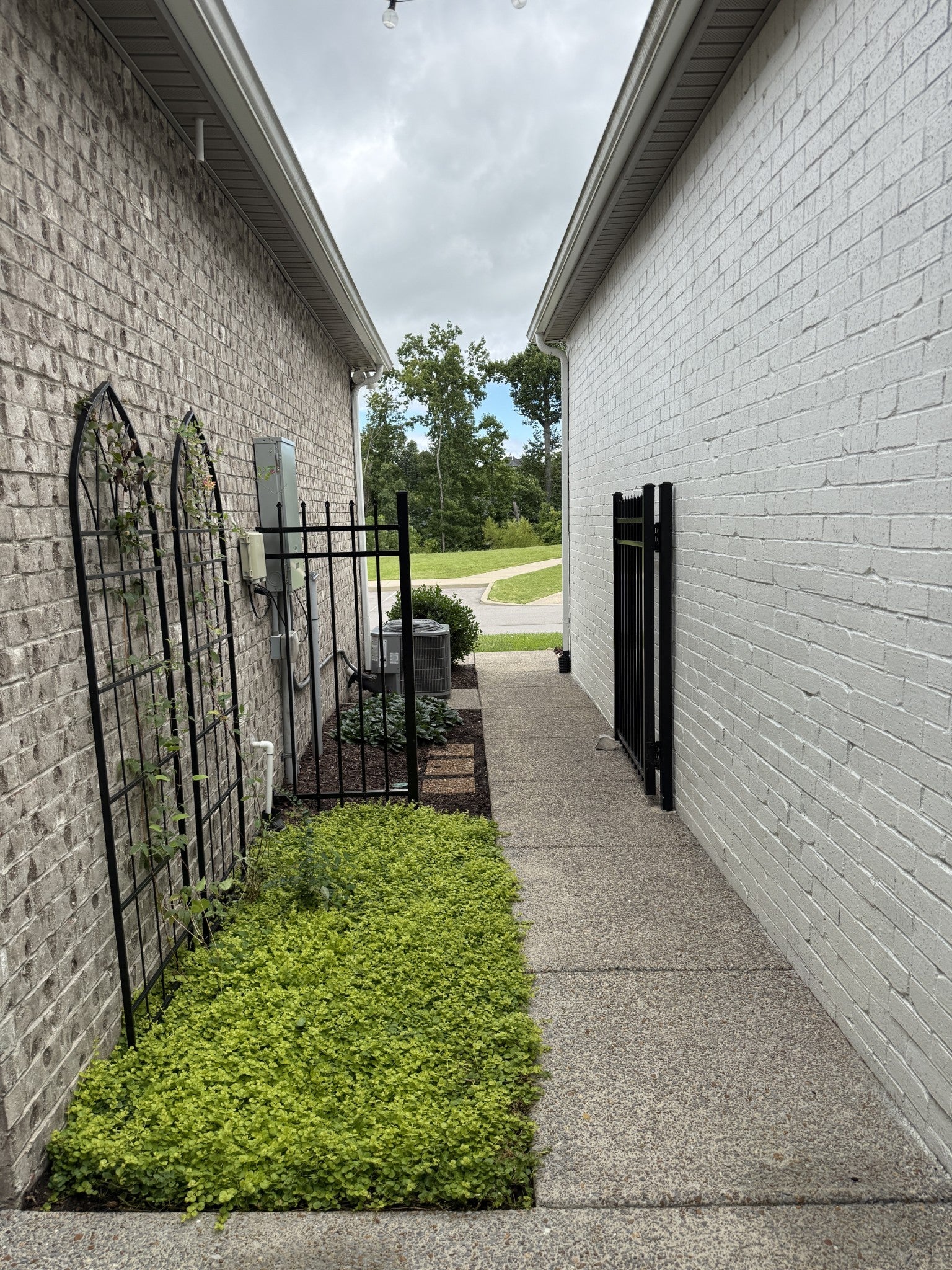 311 Buckner Cir