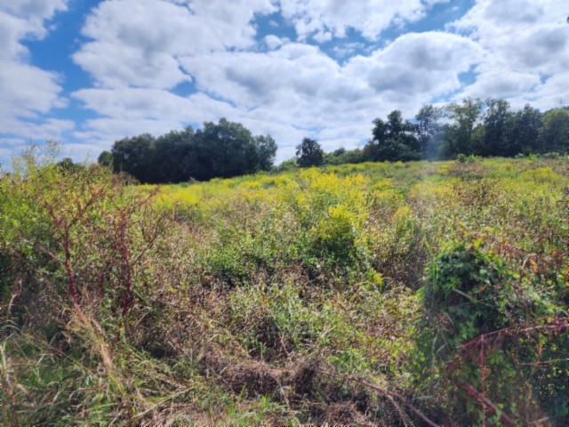 0 Anderson Rd