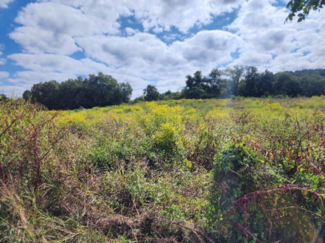 0 Anderson Rd