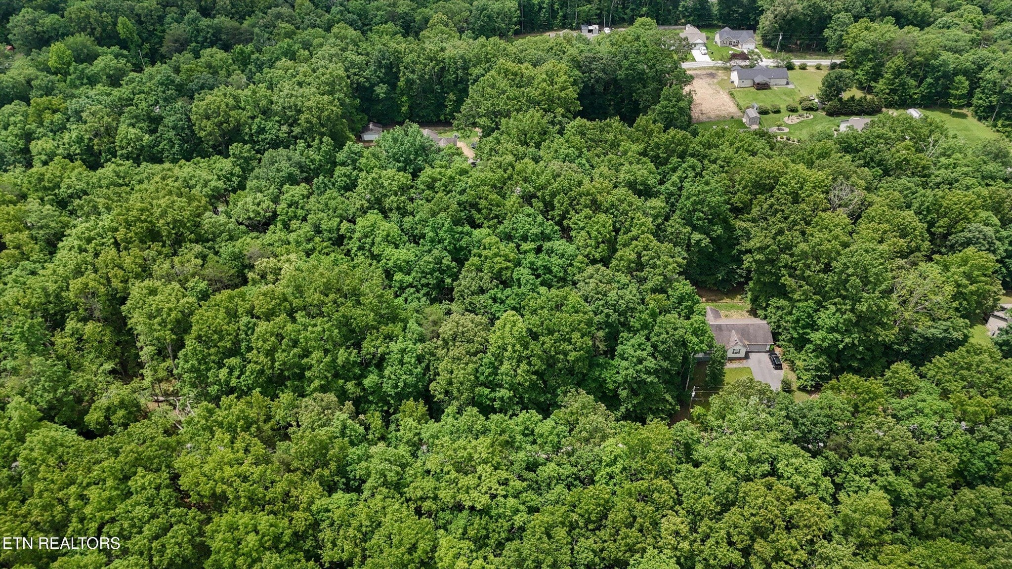 2116 Black Wolf Drive
