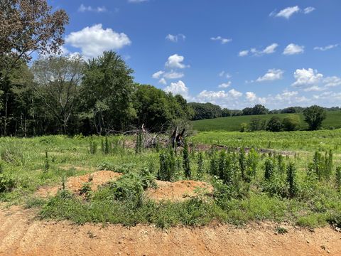 0 Hidden Hills Lane Summertown TN 38483