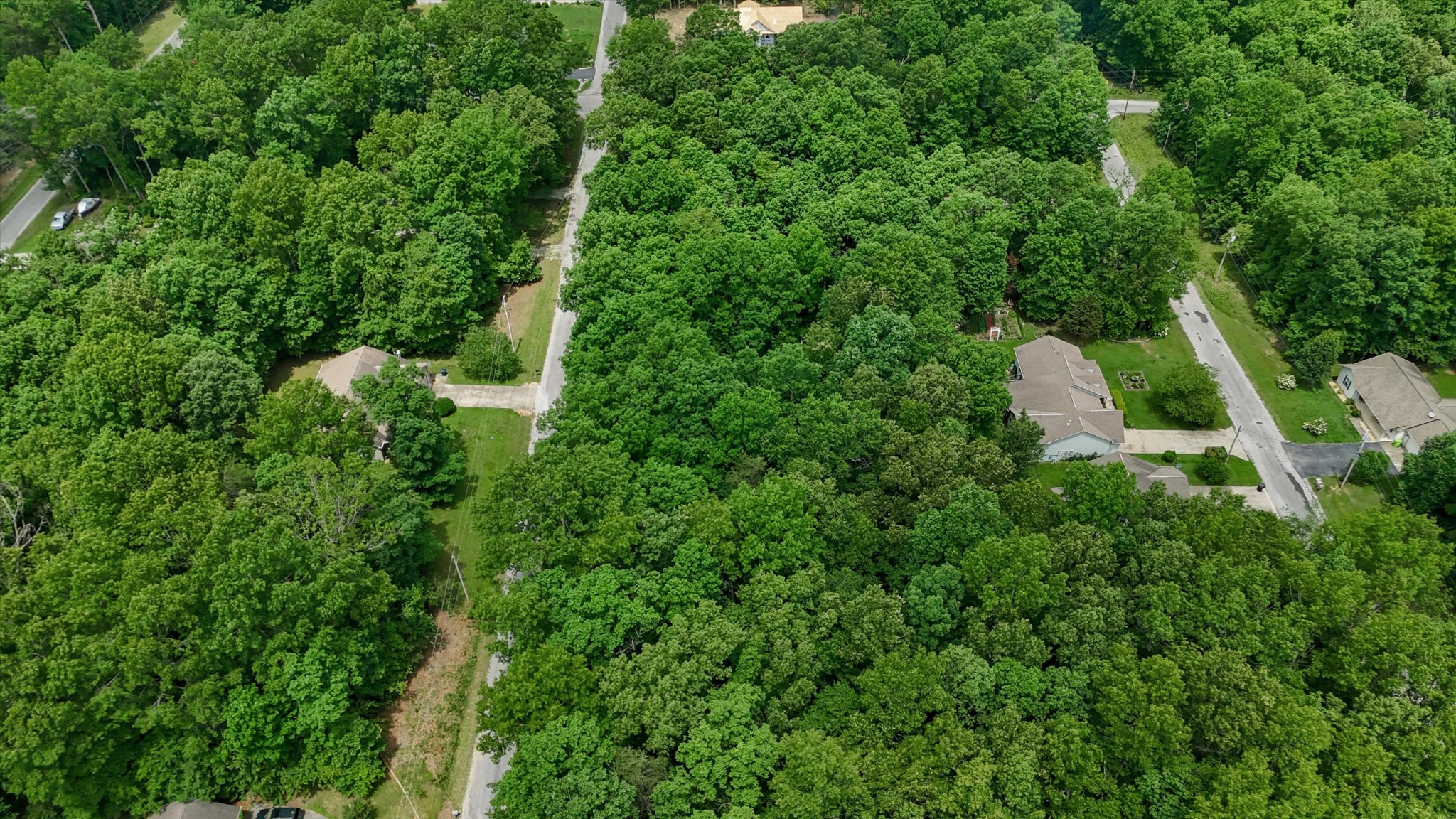 2109 Black Wolf Dr