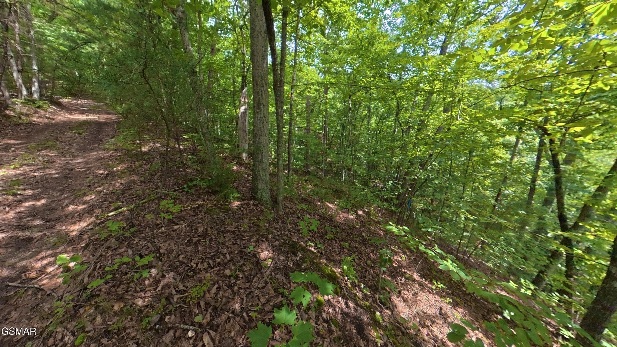 25 Shady Oaks Way