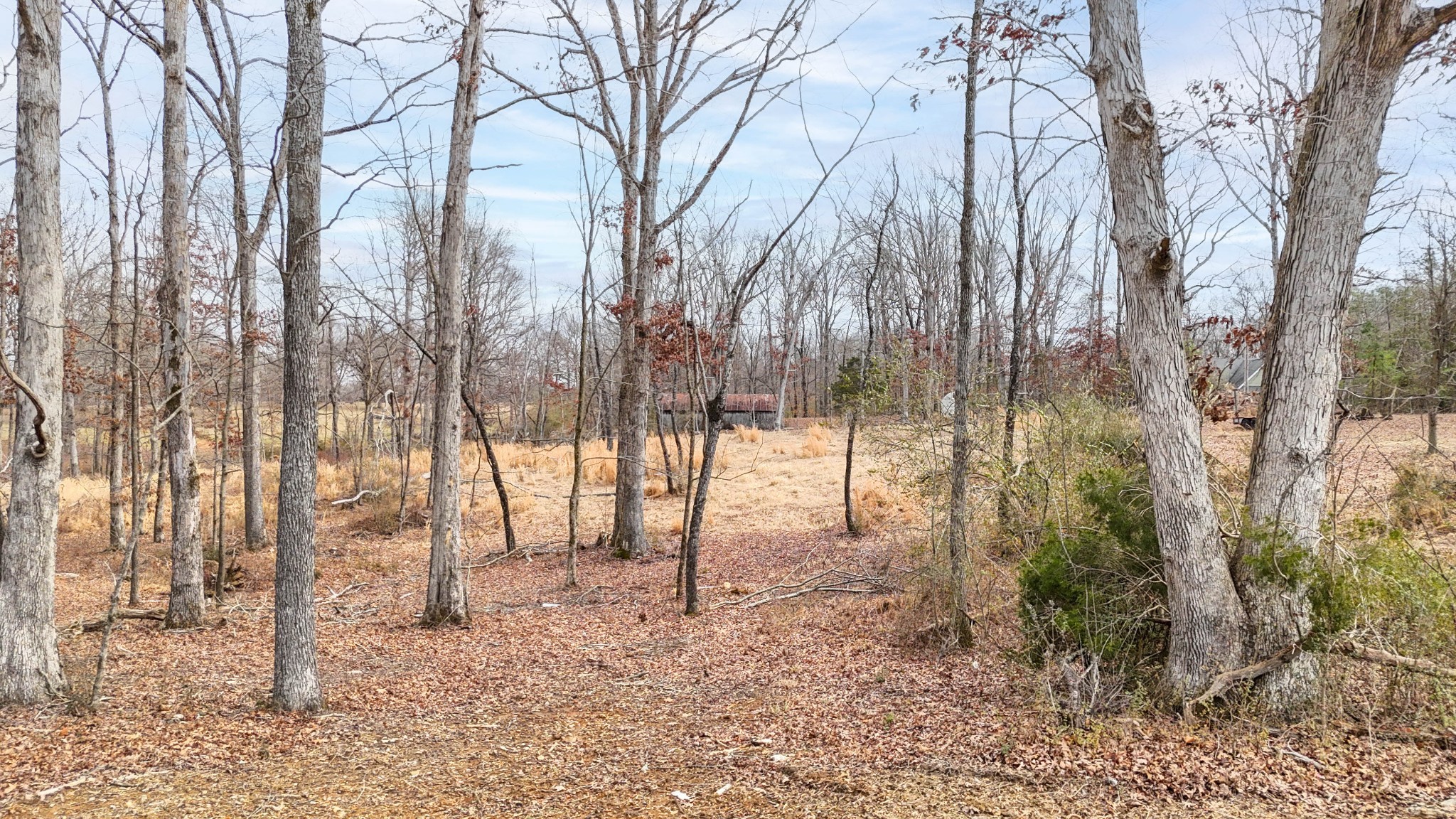 102 Cherry Blossom Way