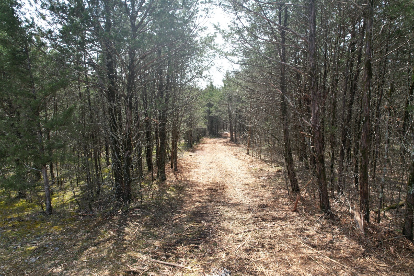 Middle Tennessee Properties 3 0 Hill Road