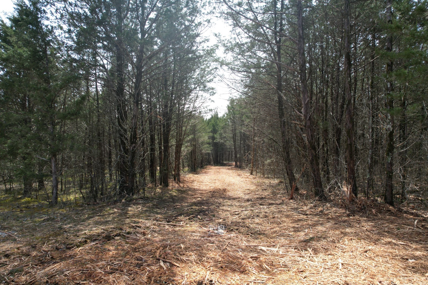 Middle Tennessee Properties 2 0 Hill Road