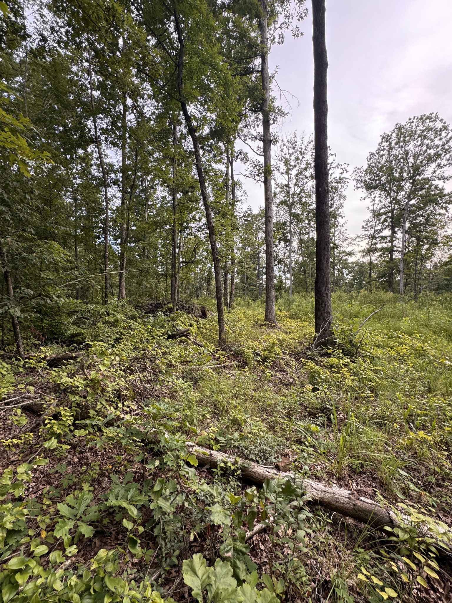 0 Old Lockhart Rd