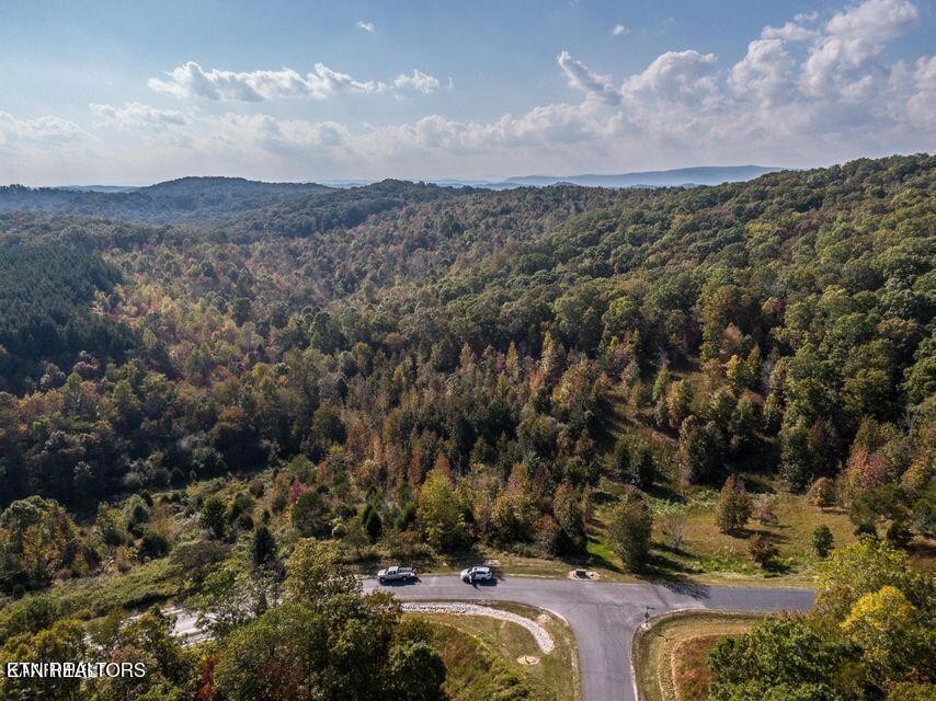 0 Emerald Pointe Circle