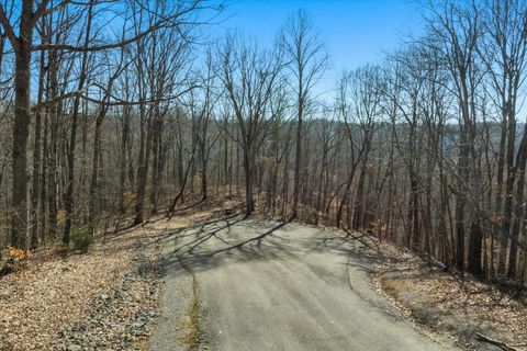 259 Randy Ct Smithville TN 37166