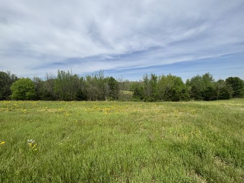 0 oakmere lane Lafayette TN 37083