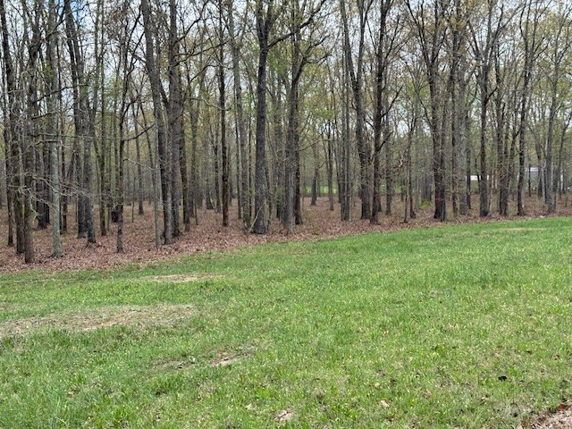 0 Summertown Hwy
