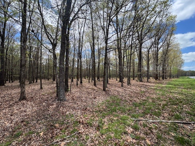 0 Summertown Hwy