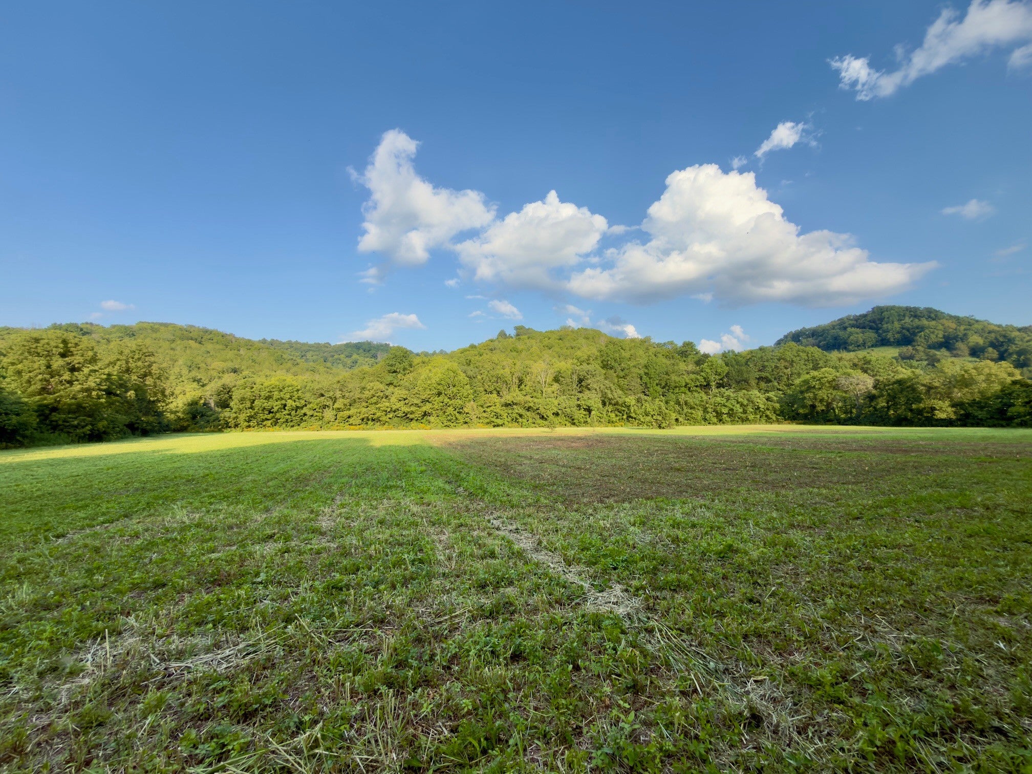 0 Hurricane Creek Rd - Photo 2