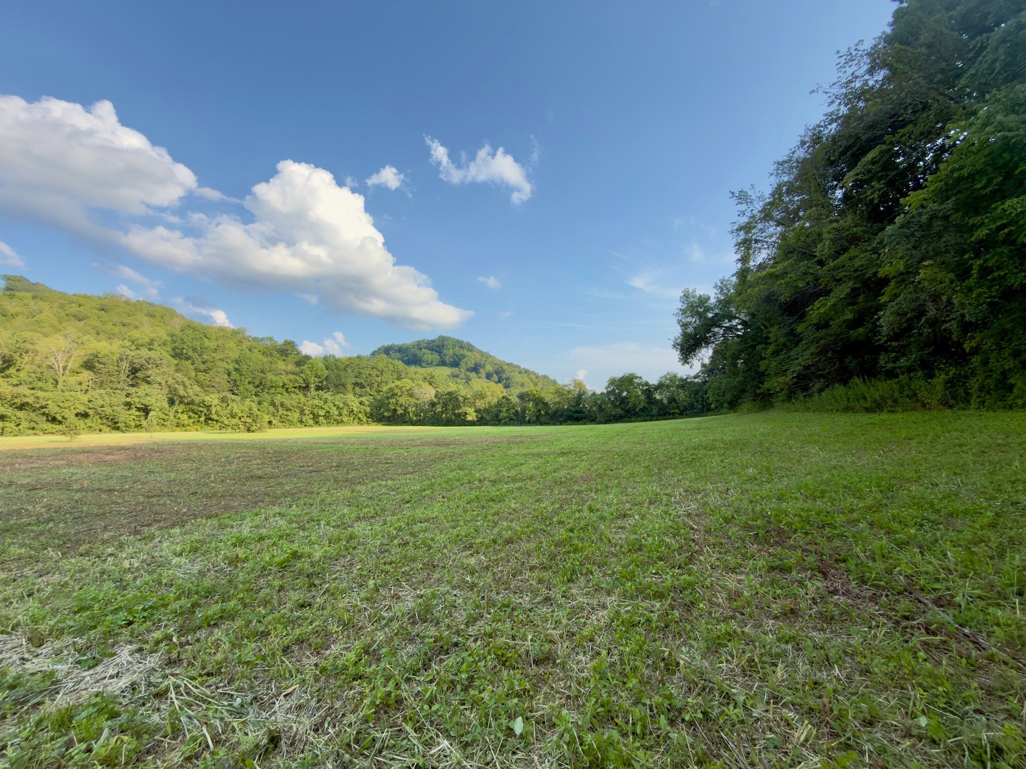 0 Hurricane Creek Rd - Photo 4