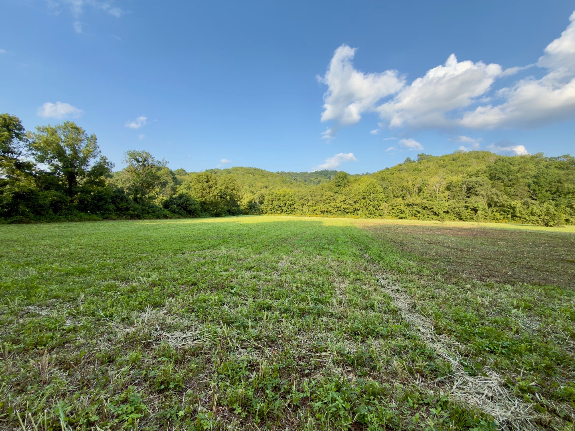 0 Hurricane Creek Rd - Photo 3