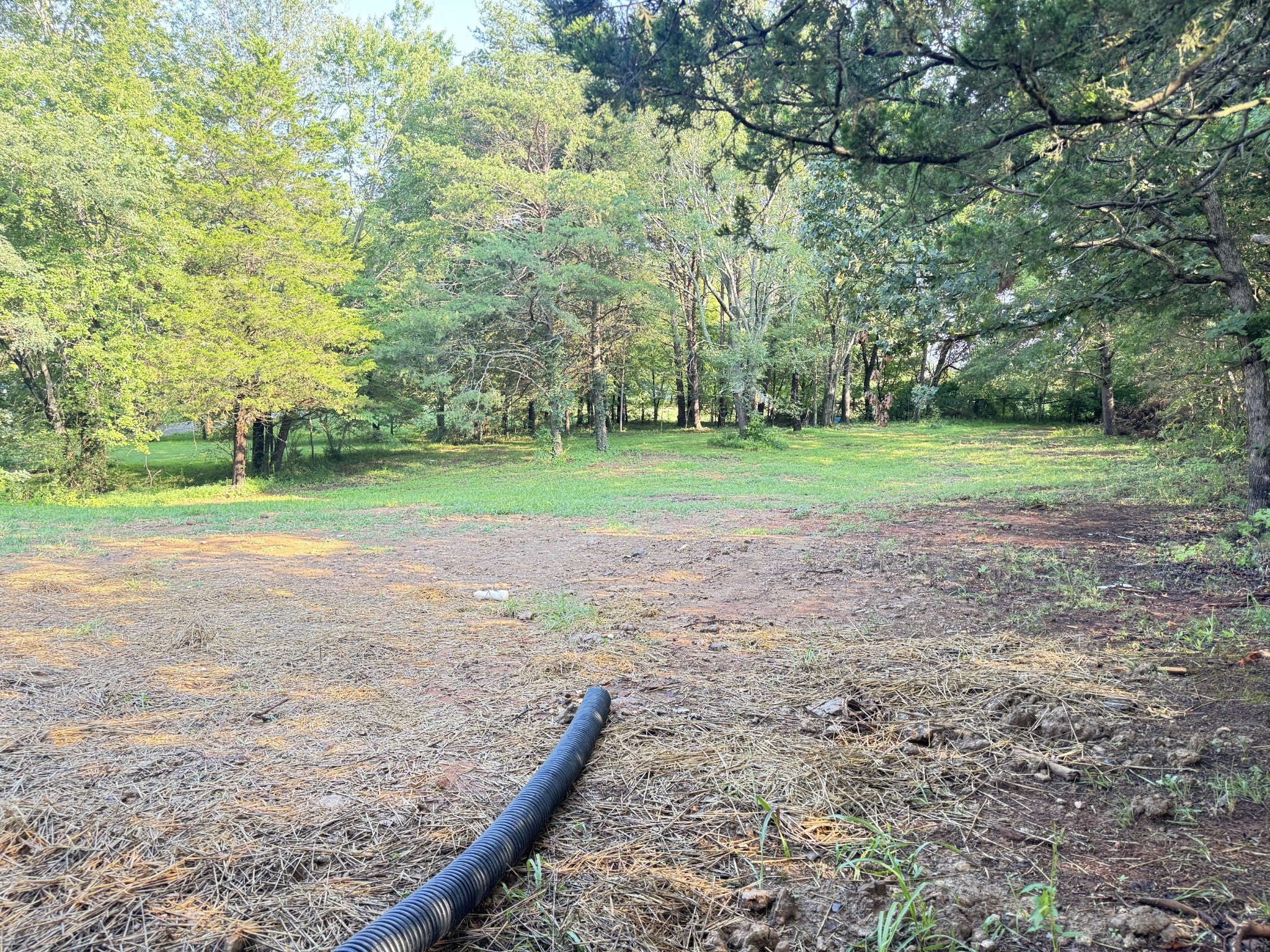 226 Tommy Dodson Hwy