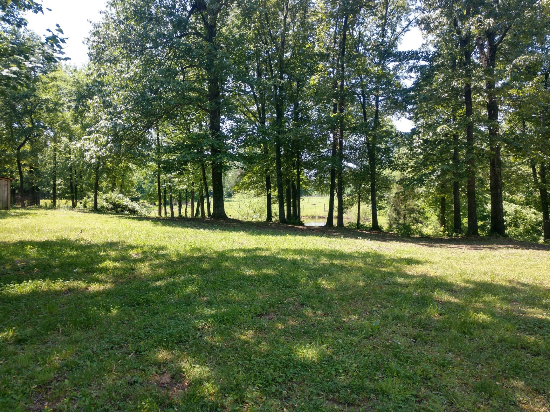 1186 Hale Springs Rd