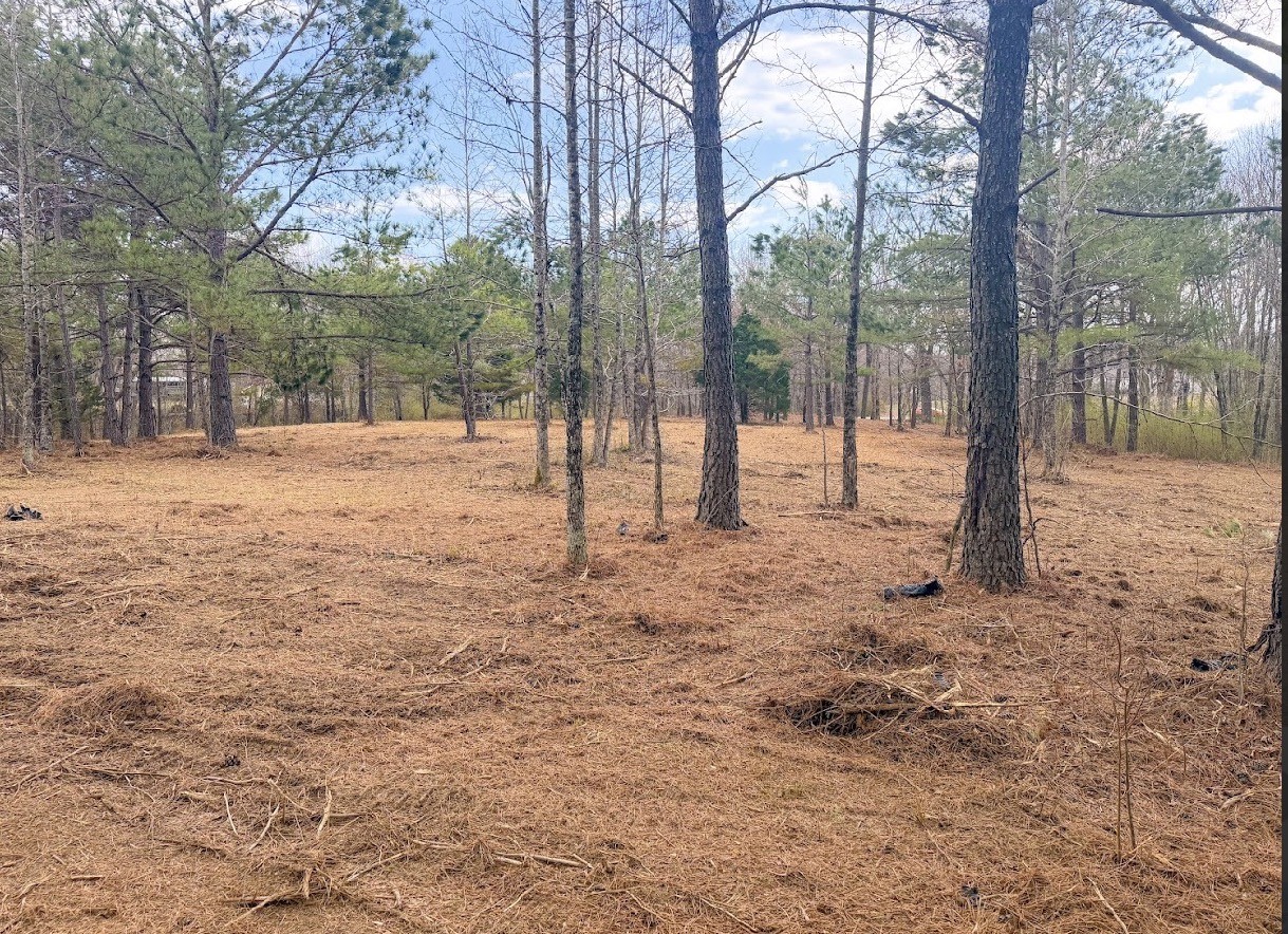 2404 Summer Oaks Cir