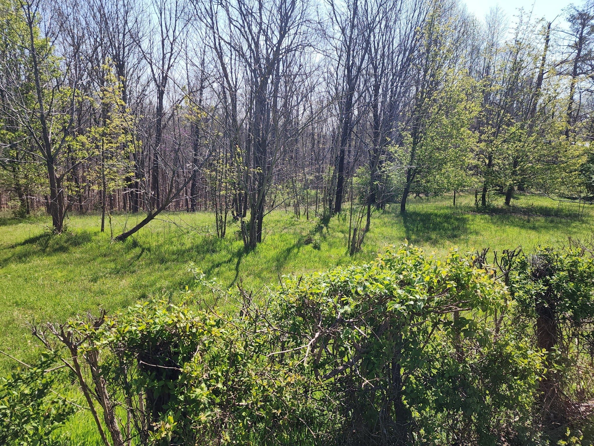 1 Davis Hollow Rd