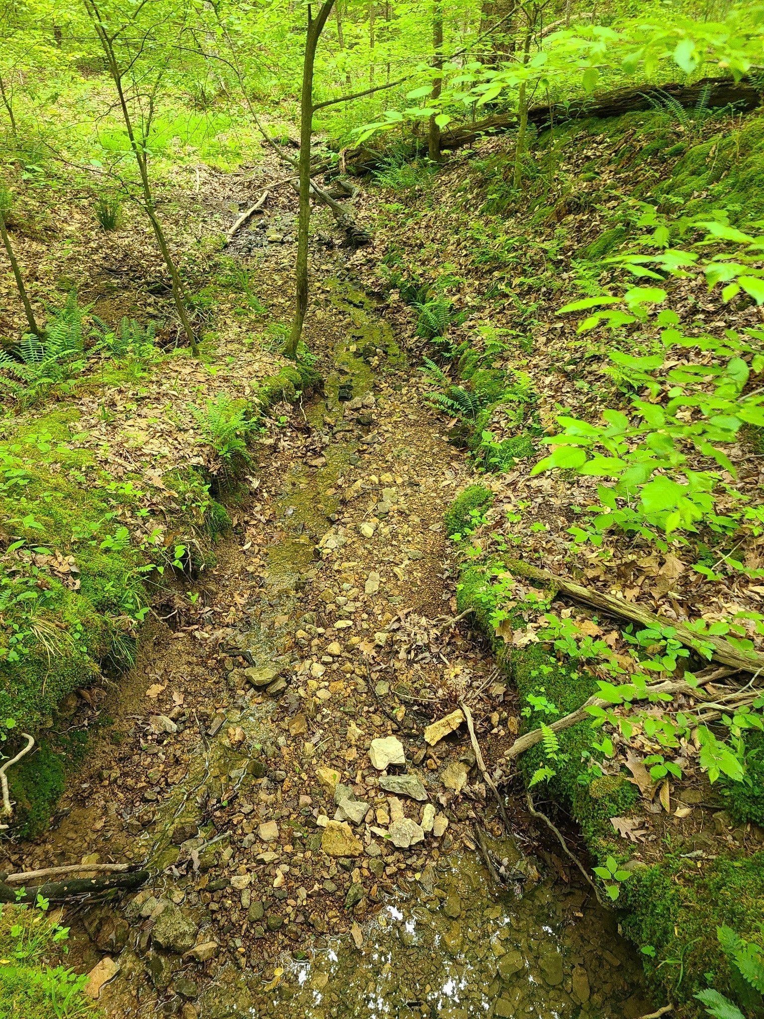1 Davis Hollow Rd