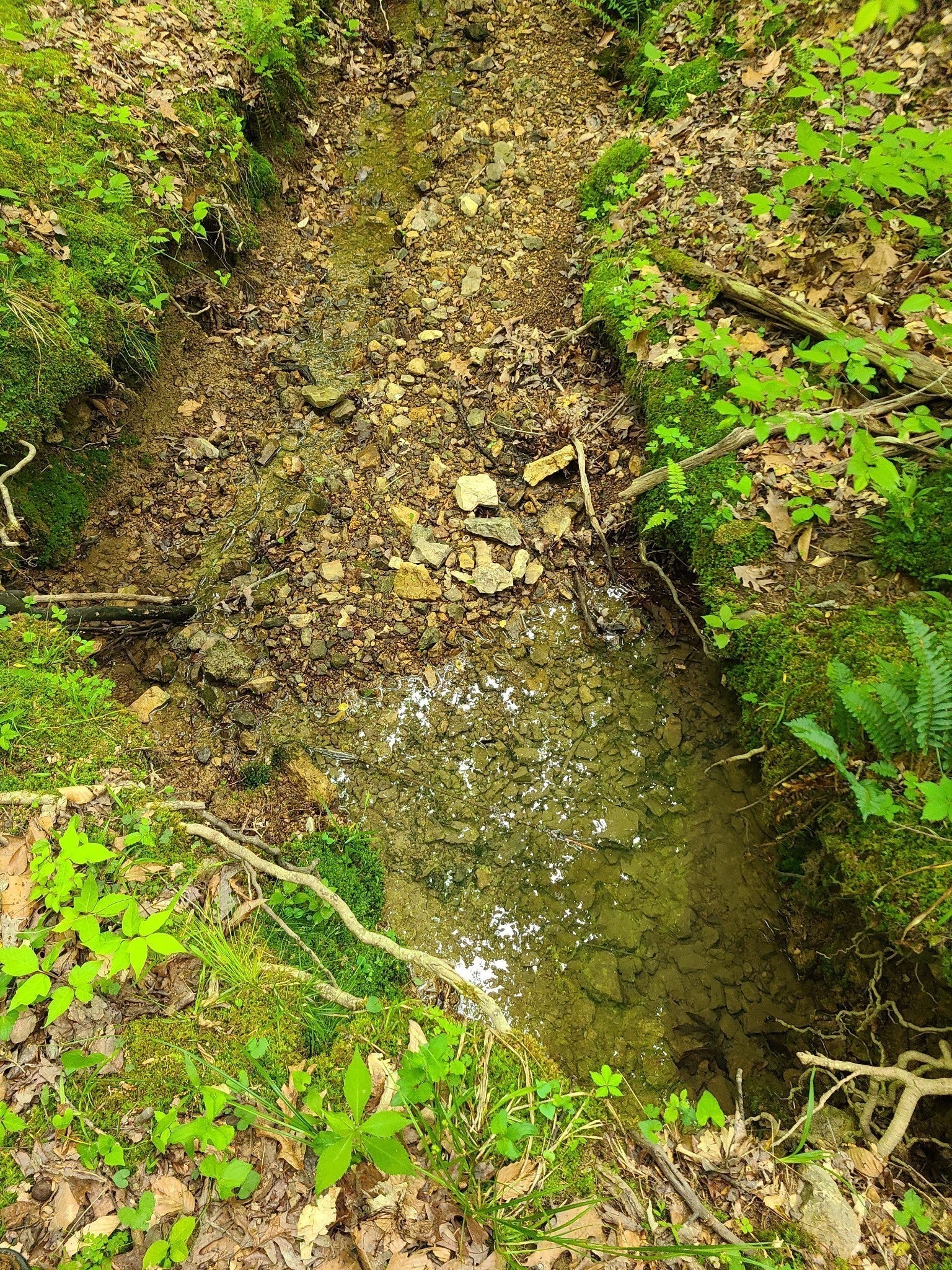 1 Davis Hollow Rd
