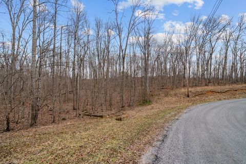 Photo of 0 Creek Dr, Monterey, TN 38574 (MLS # 3143462)