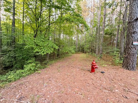 0 Allen Bend Rd Smithville TN 37166