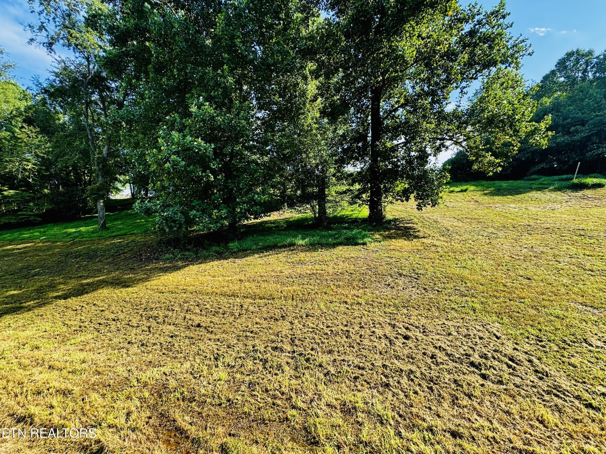 207 Clyde Ed Rd