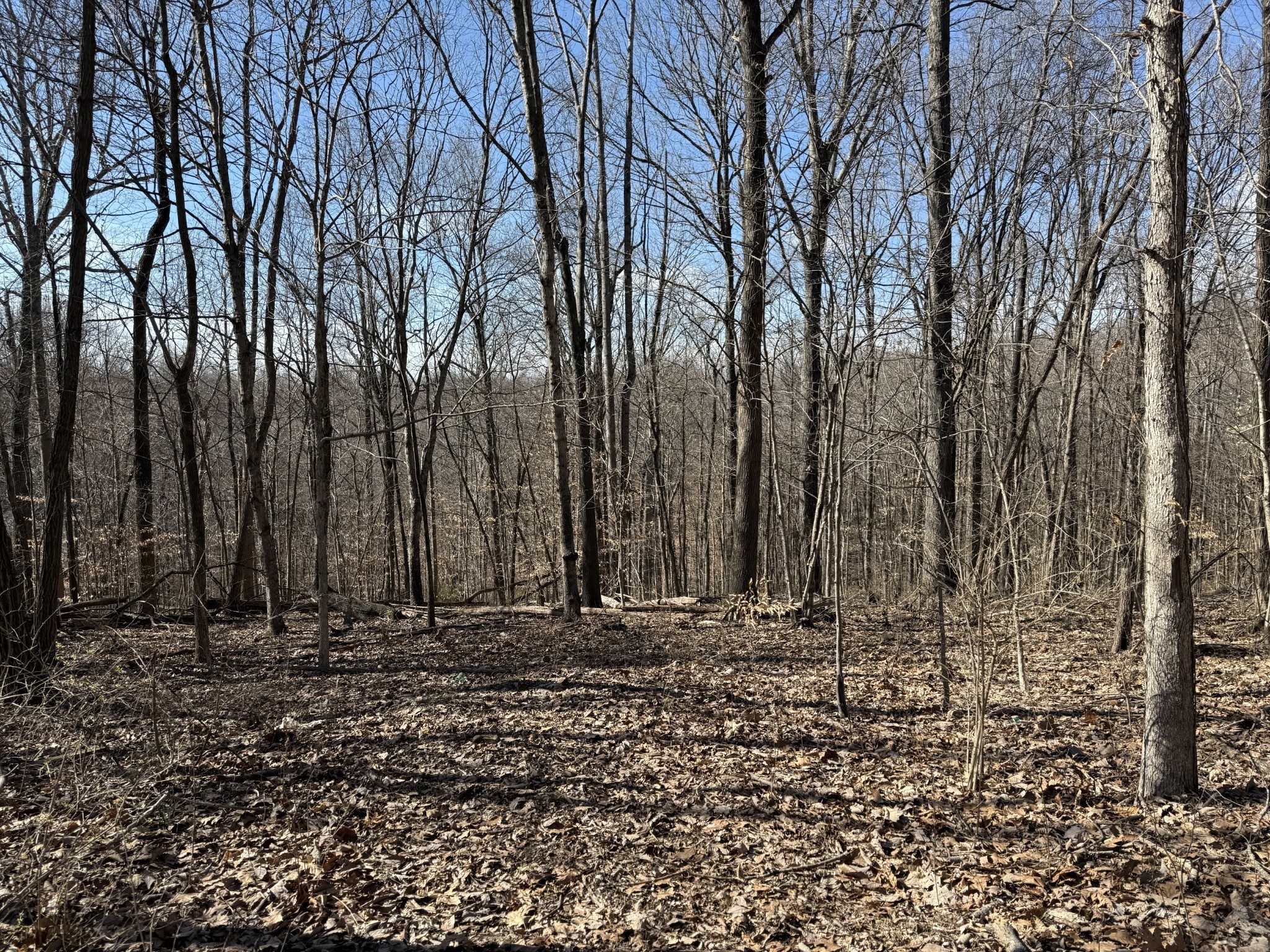 0 Hester Beasley Rd Lot 2