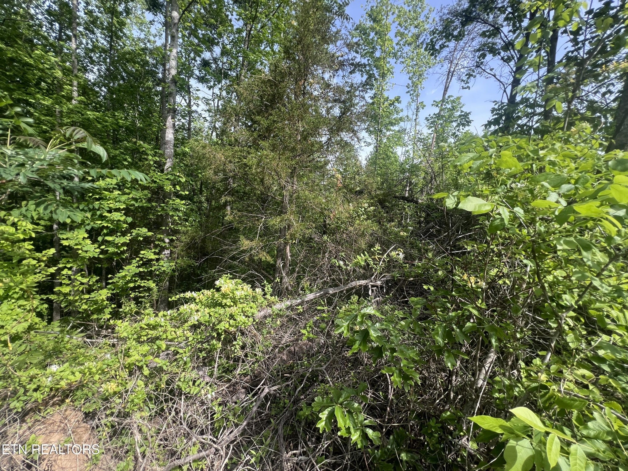 0 Big Hollow Rd