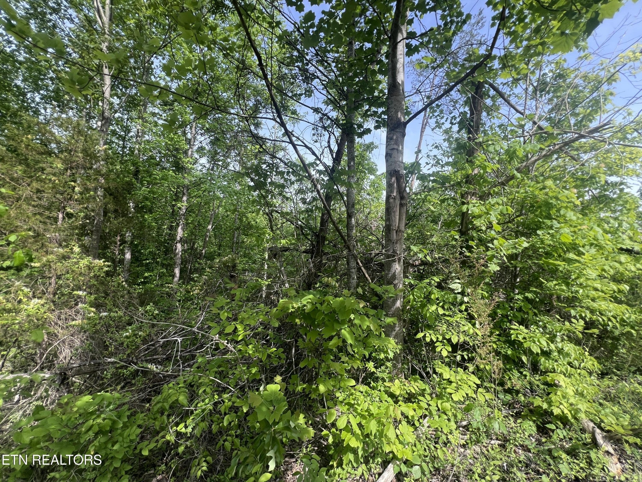 0 Big Hollow Rd