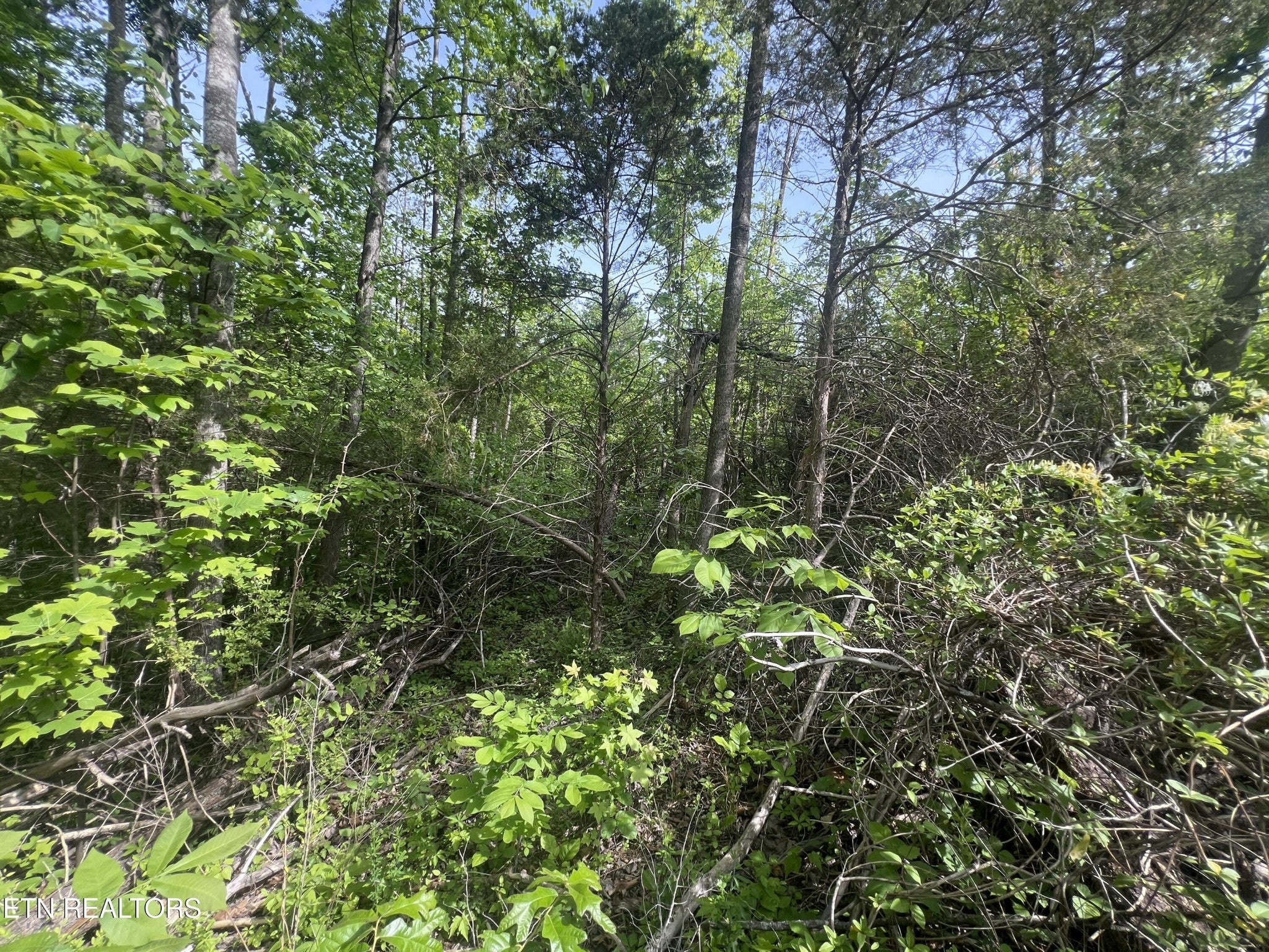 0 Big Hollow Rd