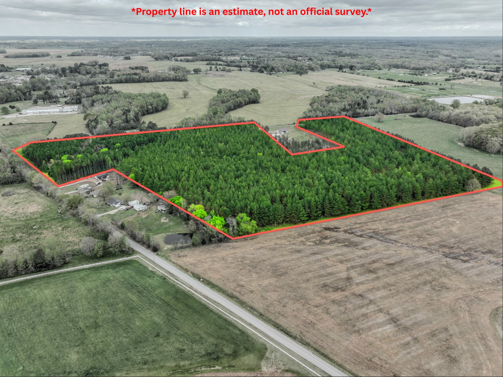Listing image 1