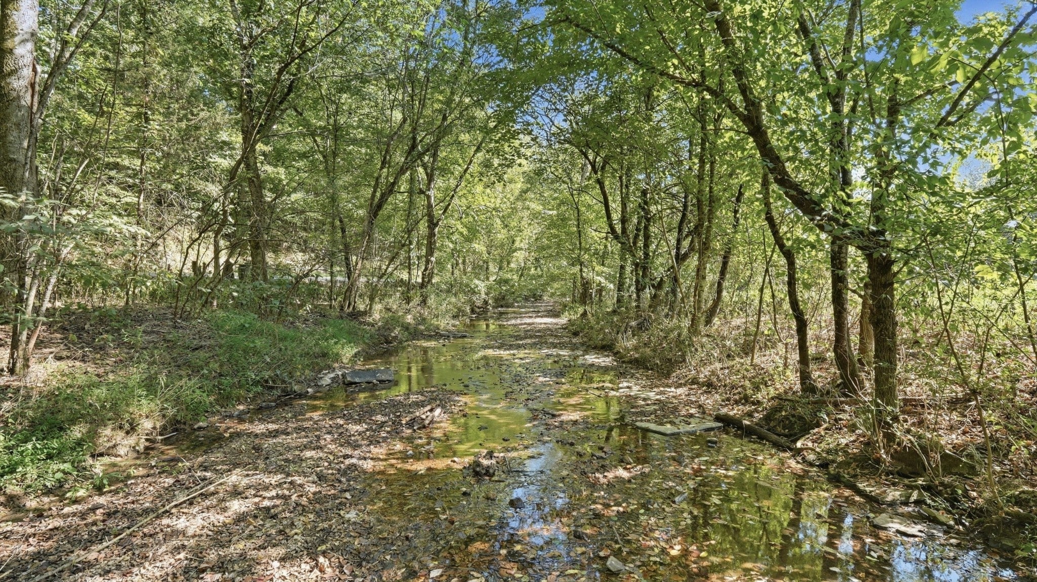 0 Opossum Paw Road