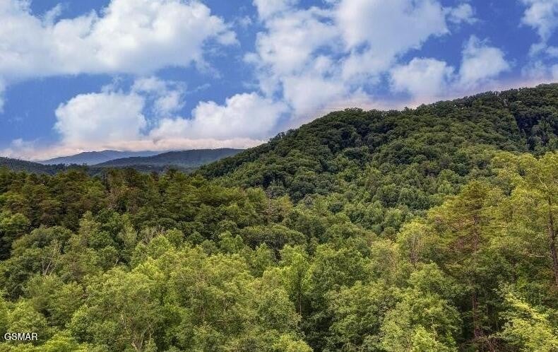 1163 Pine Mountain Road