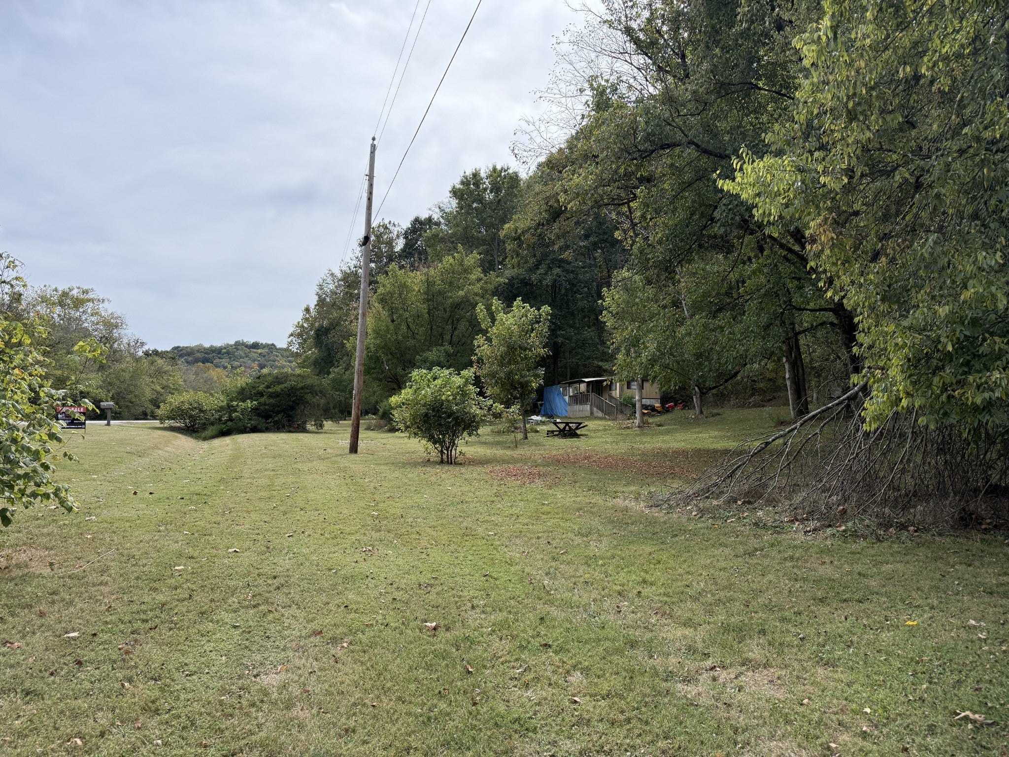 1198 Highway 231 S