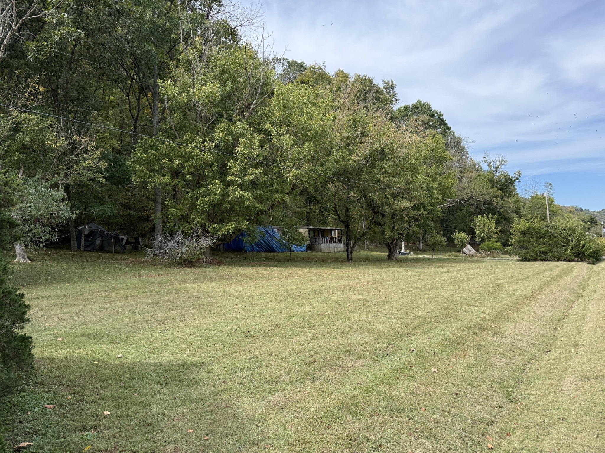 1198 Highway 231 S