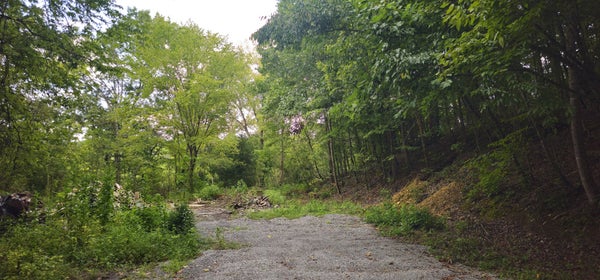 2196 BAKER STATION RD, GOODLETTSVILLE, TN 37072 - Image a6de6ffd10fe752fa5fe2a51d4babd3a/2853268616