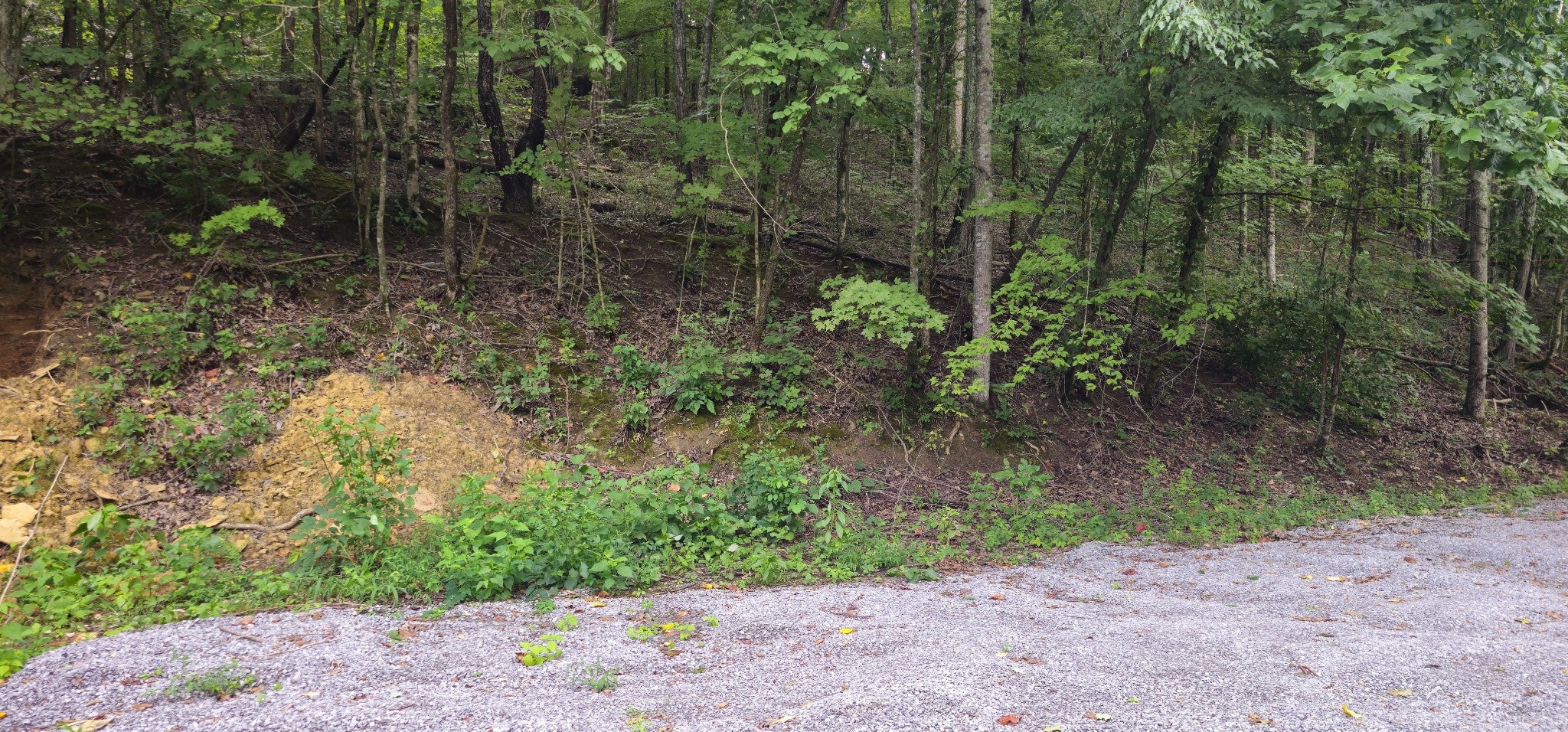 2196 Baker Station Rd