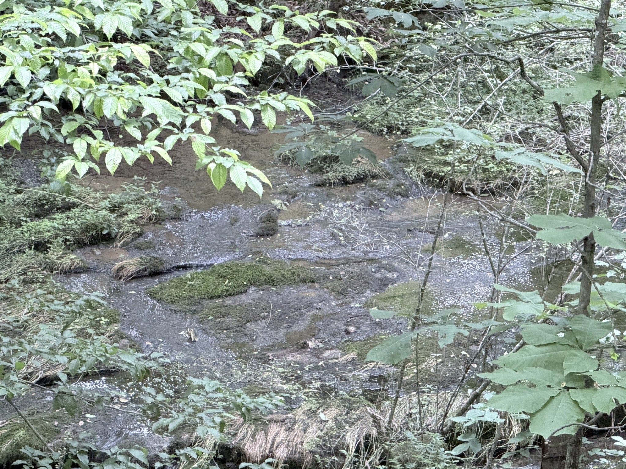 0 Hidden Valley Rd