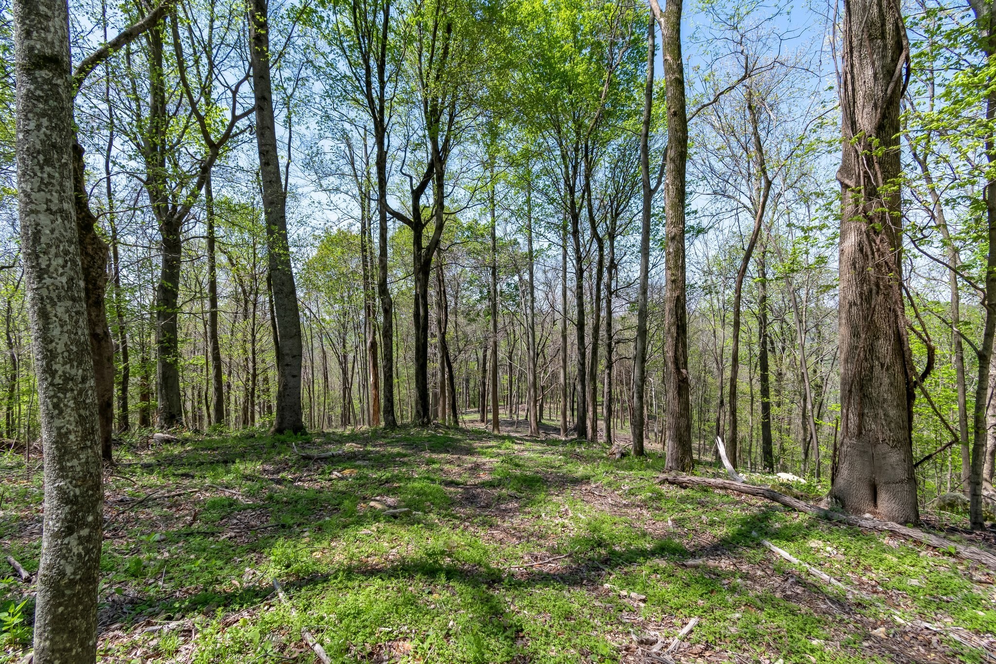 3199 McKnight Rd