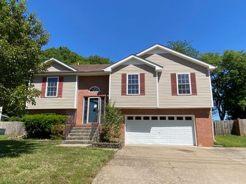 Photo of 1007 Sugarcane Way, Clarksville, TN 37040 (MLS # 3225443)