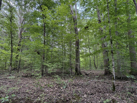 995 HURRICANE CREEK RD, STEWART, TN 37175 - Image a73609f1397f25959fa8b81ee2f8e927/2995249089