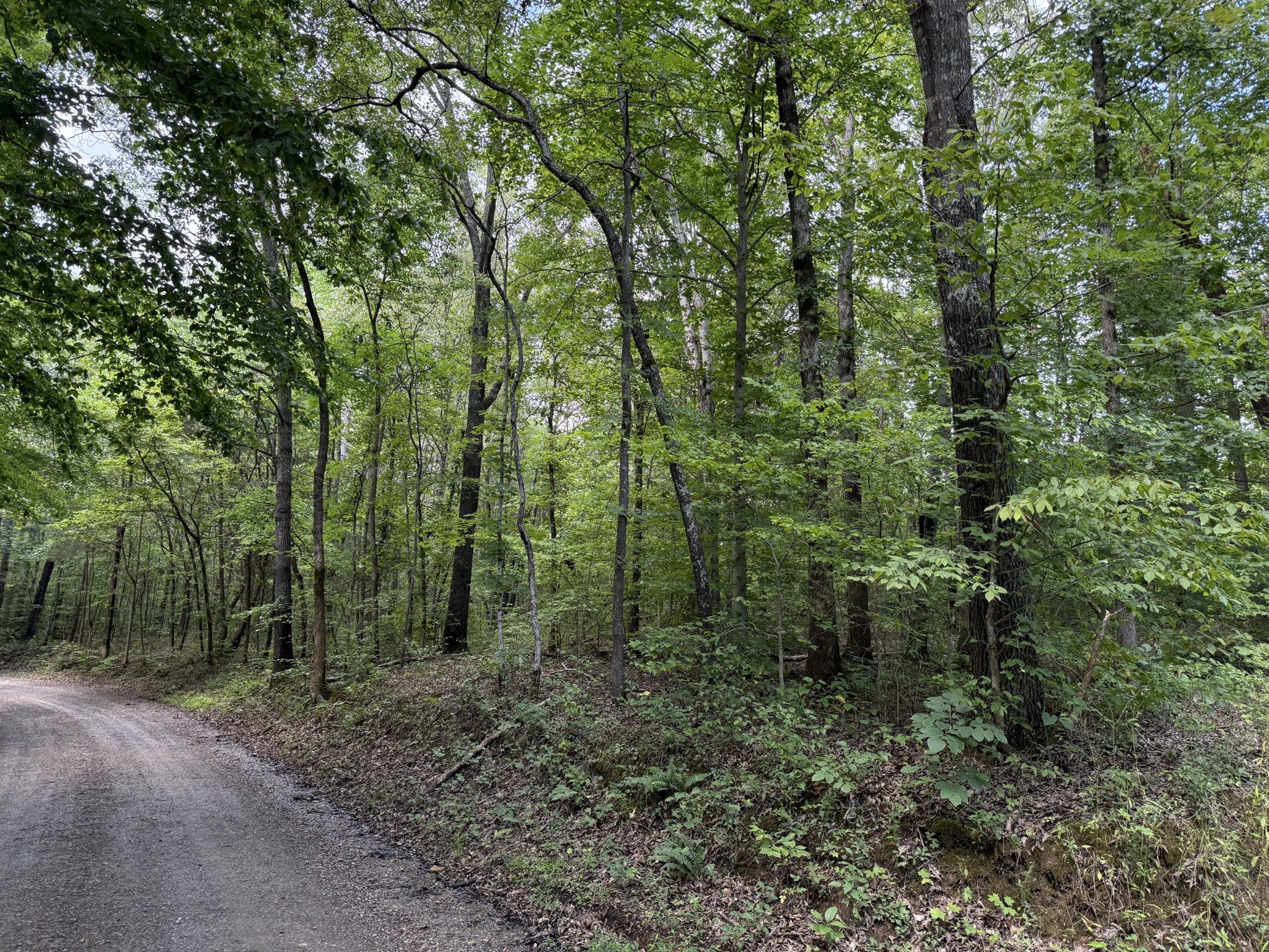 995 Hurricane Creek Road