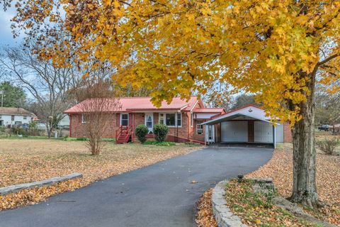 205 Cheatham Ave Smyrna TN 37167