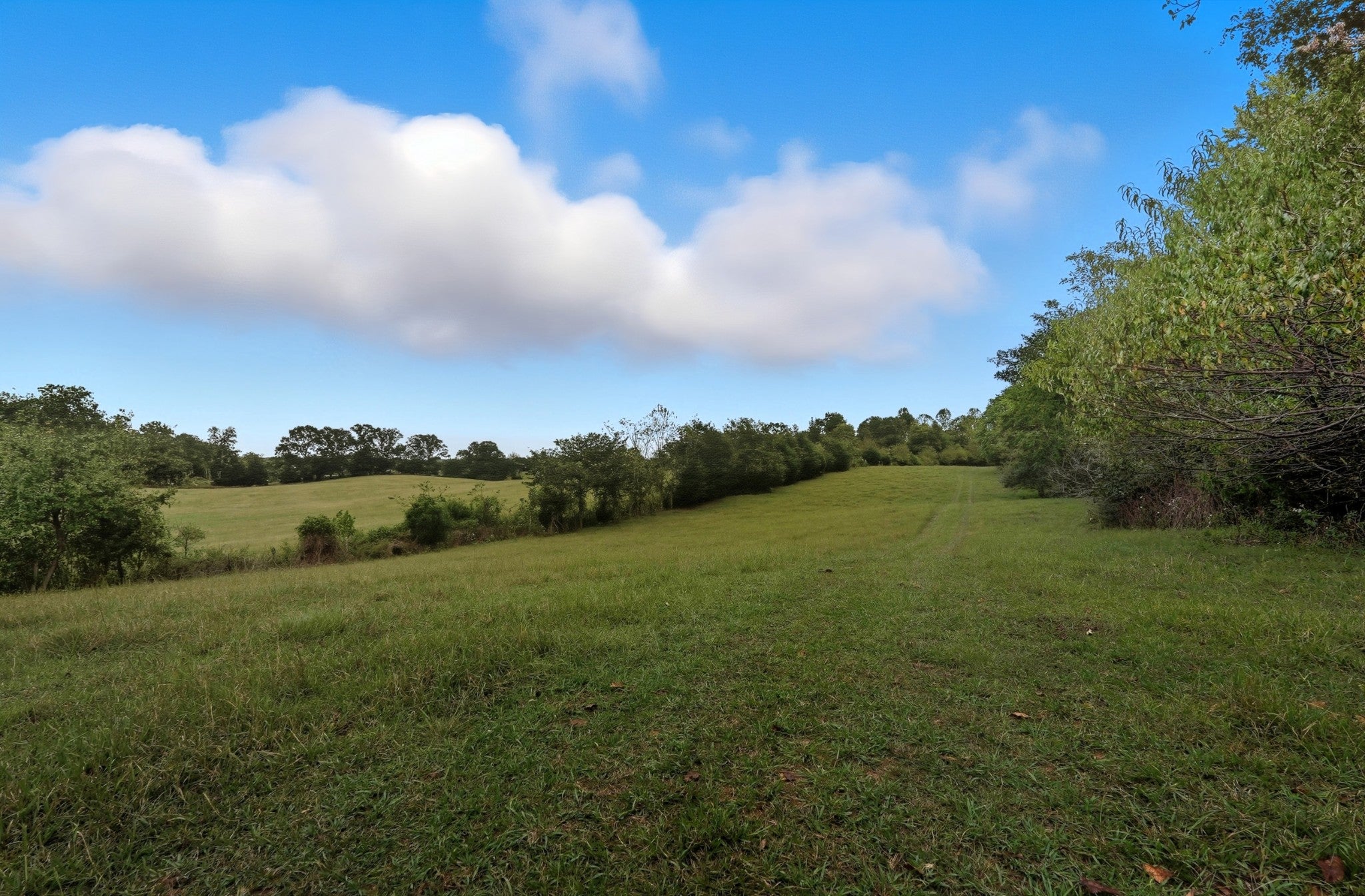 0 Jenkins Road