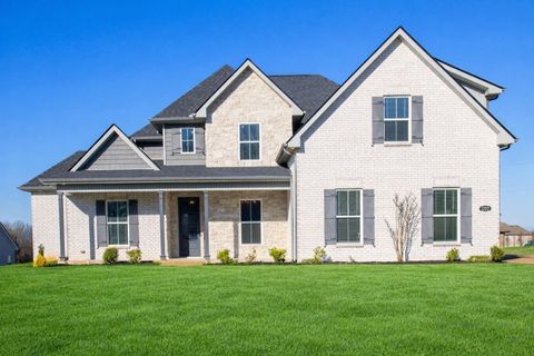 1222 Emmie Reece Dr Smyrna TN 37167