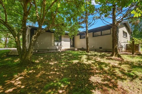 19 Horseshoe Bend Rd Leoma TN 38468