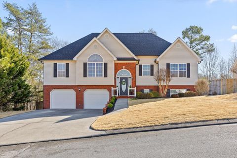 153 Hidden Oaks Drive Flintstone GA 30725