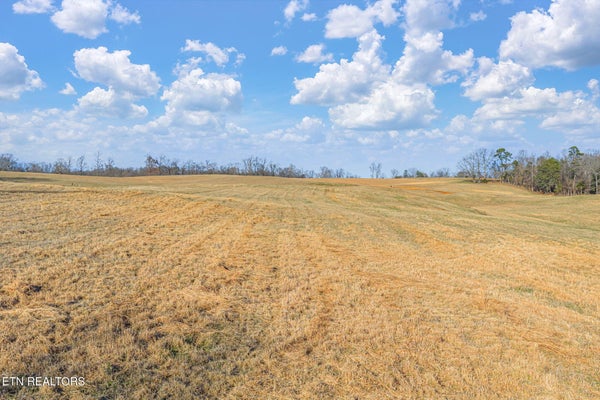 ADDRESS PRIVATE, STRAWBERRY PLAINS, TN  - Image a7855d4c5a78bc2a519e2d637df17f08/1996436346
